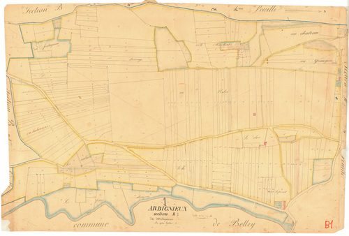 Arbignieu - 3 P 4243 - 3 P 4243 -  Feuille 1  (1836)