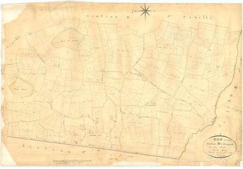 Bâgé-la-Ville -  - Section D dite "des Paillardiéres"  (1826)