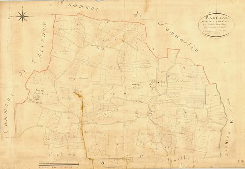 Bâgé-la-Ville -  - Section D dite "des Paillardiéres"  (1826)
