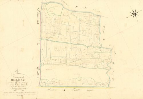 Bellignat - 3 P 4458 - 3 P 4458 -  Feuille 3  (1856)