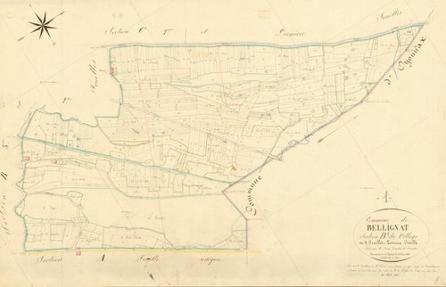Bellignat - 3 P 4456 - 3 P 4456 -  Feuille 1  (1856)