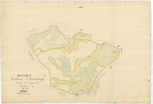 Belleydoux - 1777 W 40-1 - 1777 W 40-1 -  Tableau d'assemblage de la section A  (1839)