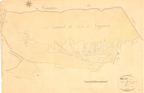 Béon - 3 P 4515 - 3 P 4515 -  Feuille 1  (1831)
