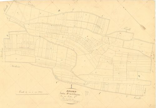 Briord - 3 P 4807 - 3 P 4807 -  Feuille 4  (1840)