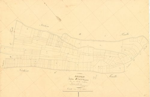 Briord - 3 P 4808 - 3 P 4808 -  Feuille 5  (1840)