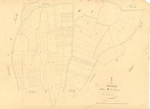Briord - 3 P 4806 - 3 P 4806 -  Feuille 3  (1840)