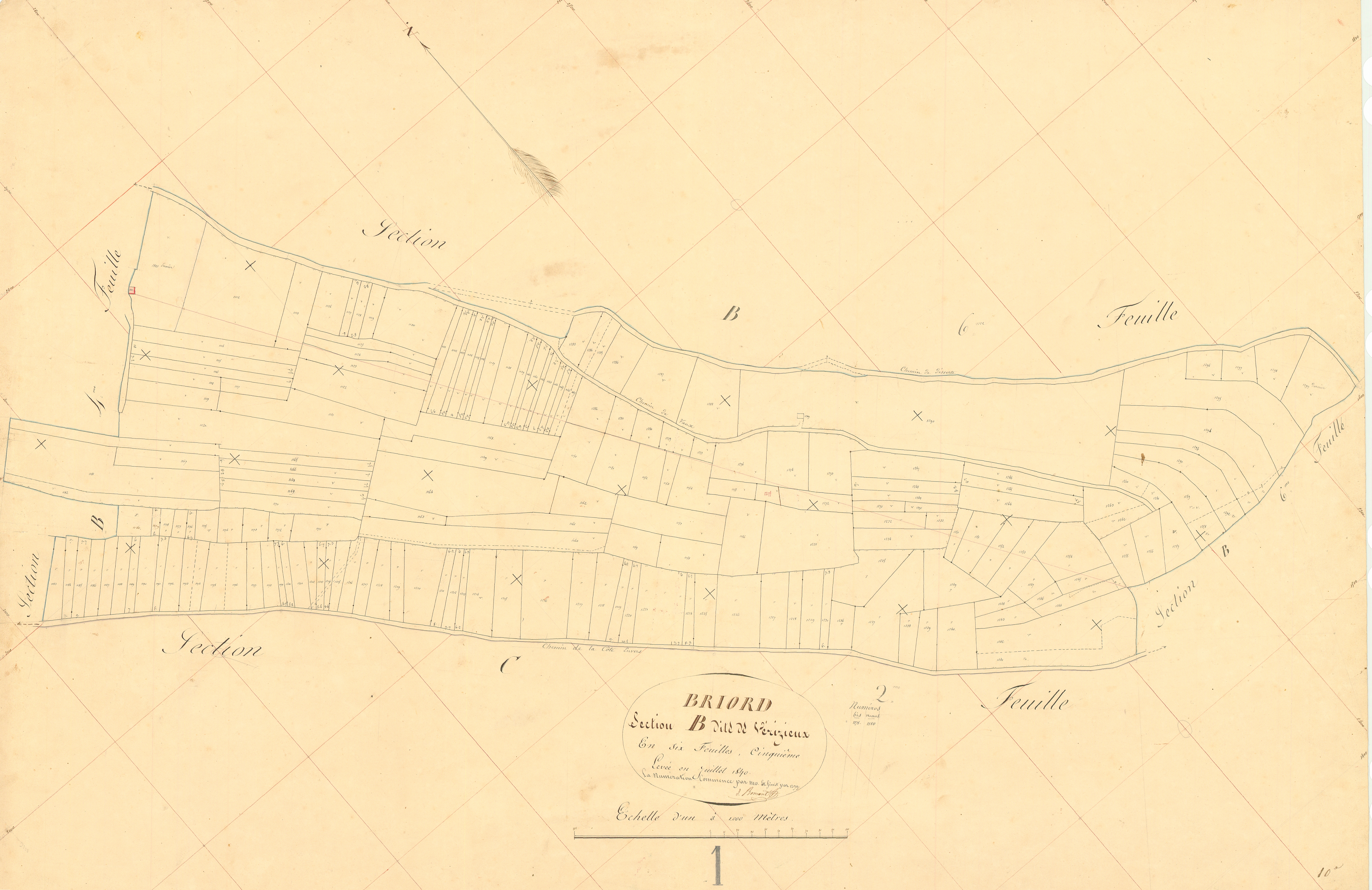 Briord - 3 P 4808 - 3 P 4808 -  Feuille 5  (1840)