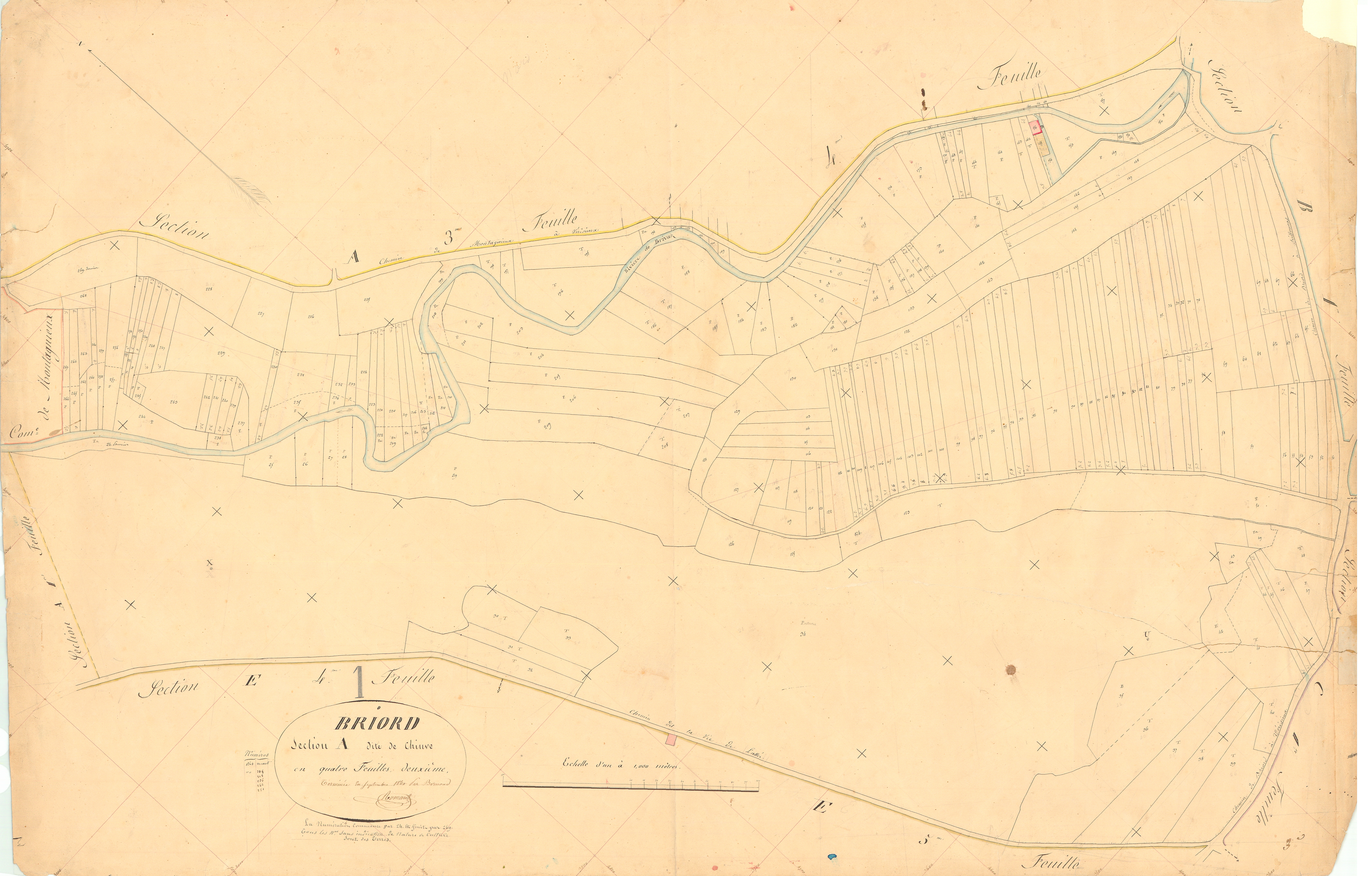 Briord - 3 P 4801 - 3 P 4801 -  Feuille 2  (1840)