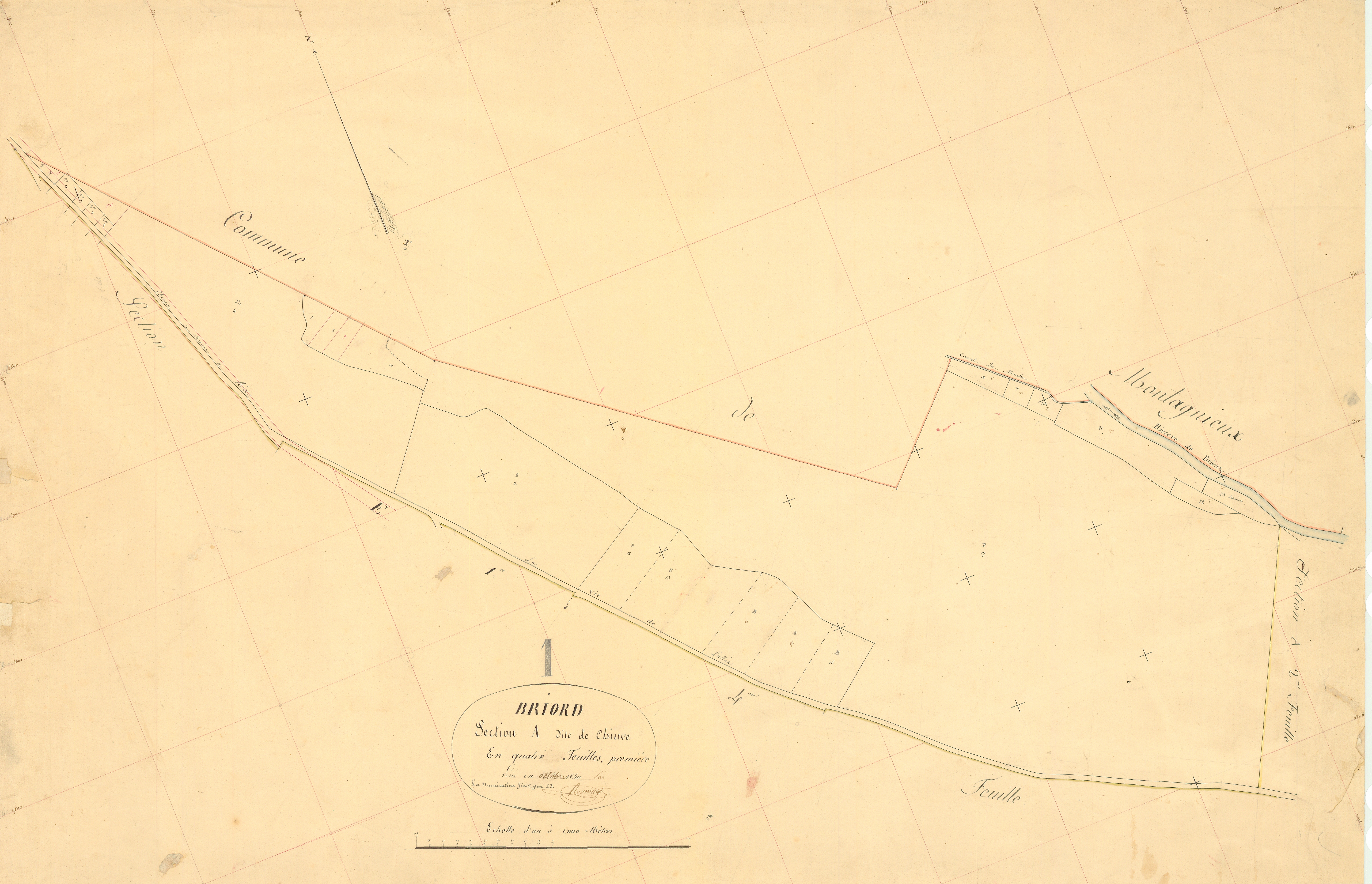 Briord - 3 P 4800 - 3 P 4800 -  Feuille 1  (1840)