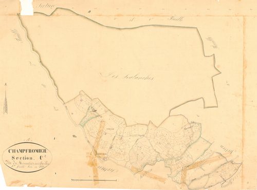 Champfromier - 3 P 5000 - 3 P 5000 -  Feuille 1  (1833)