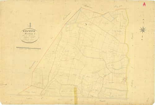 Chaneins - 3 P 5033 - 3 P 5033 -  Feuille 1  (1832)