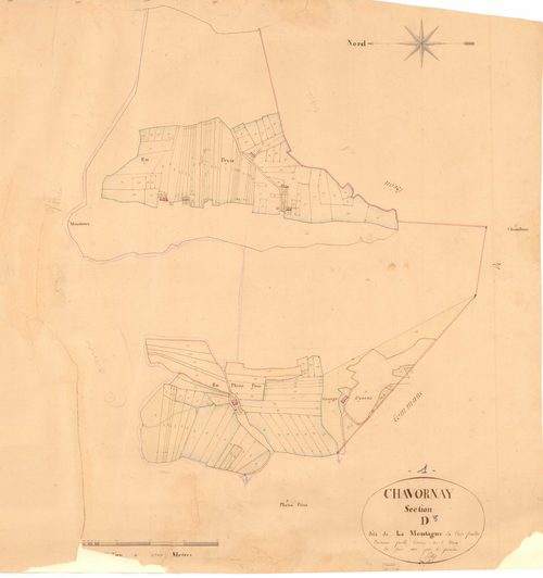 Chavornay - 3 P 5202 - 3 P 5202 -  Feuille 3  (1830)