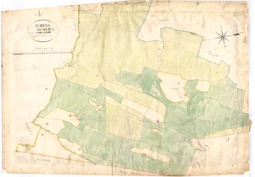 Forens - 3 P 6194 - 3 P 6194 -  Feuille 1  (1833)