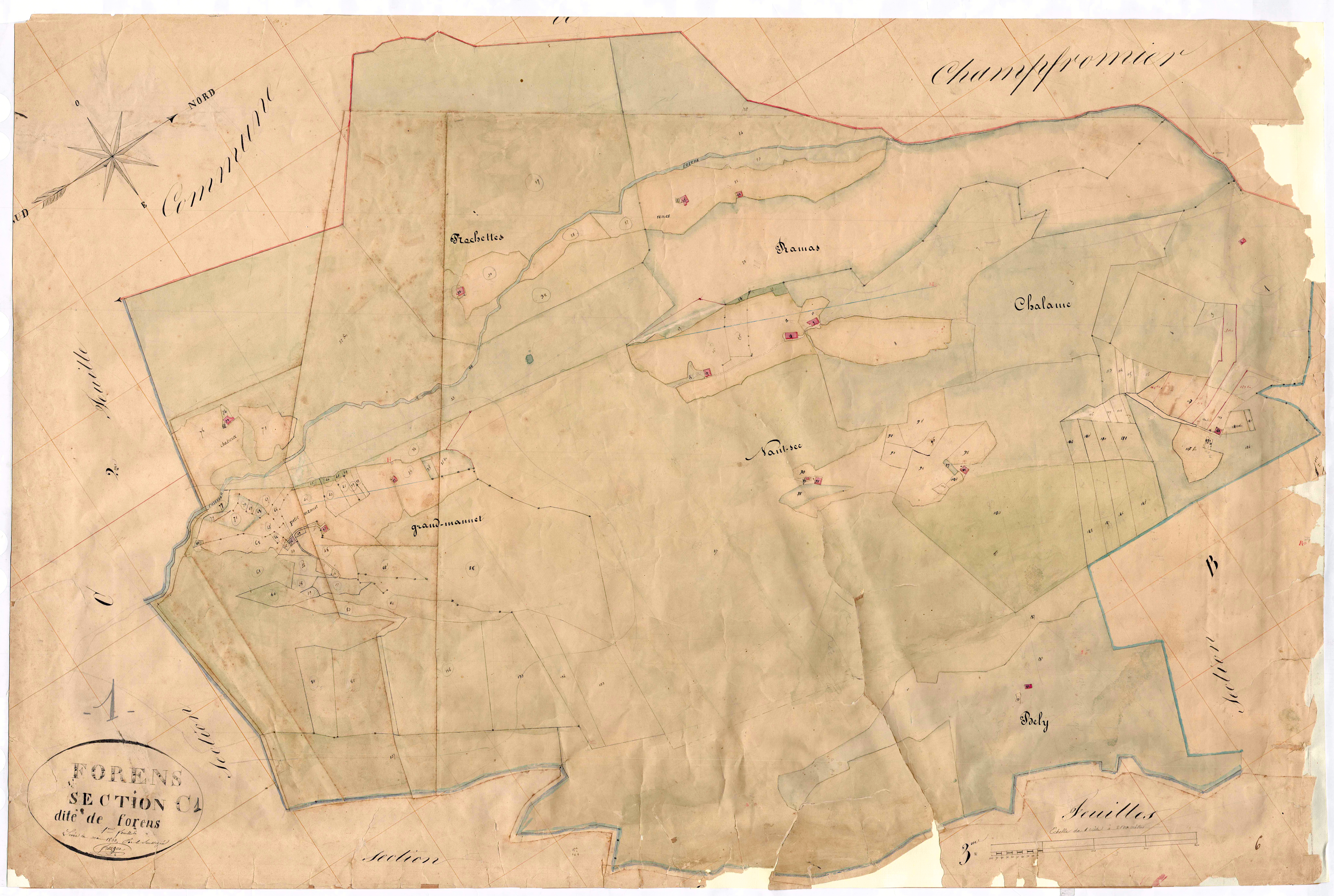 Forens - 3 P 6196 - 3 P 6196 -  Feuille 1  (1833)