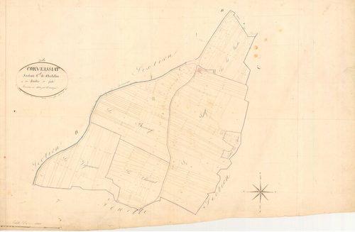 Corveissiat - 3 P 5586 - 3 P 5586 -  Feuille 1  (1834)