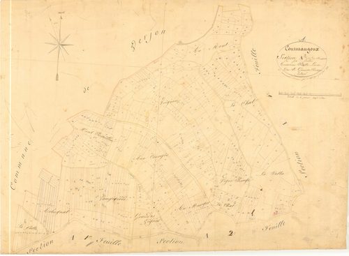 Courmangoux - 3 P 5597 - 3 P 5597 -  Feuille 3  (1827)