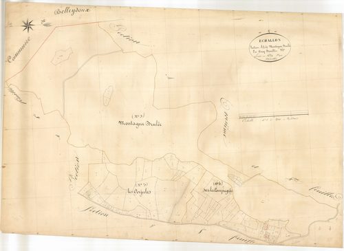 Échallon - 3 P 6015 - 3 P 6015 -  Feuille 2  (1839)