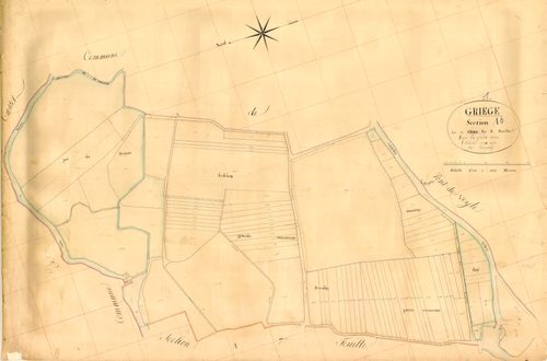 Grièges - 3 P 6325 - 3 P 6325 -  Feuille 8  (1834)