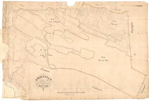 Groissiat - 3 P 6356 - 3 P 6356 -  Feuille 5  (1839)