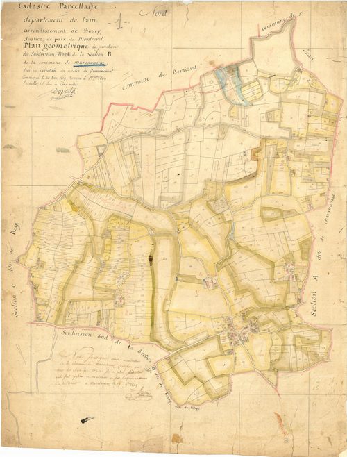 Marsonnas - 3 P 7296 - 3 P 7296 -  Feuille 1  (1809)