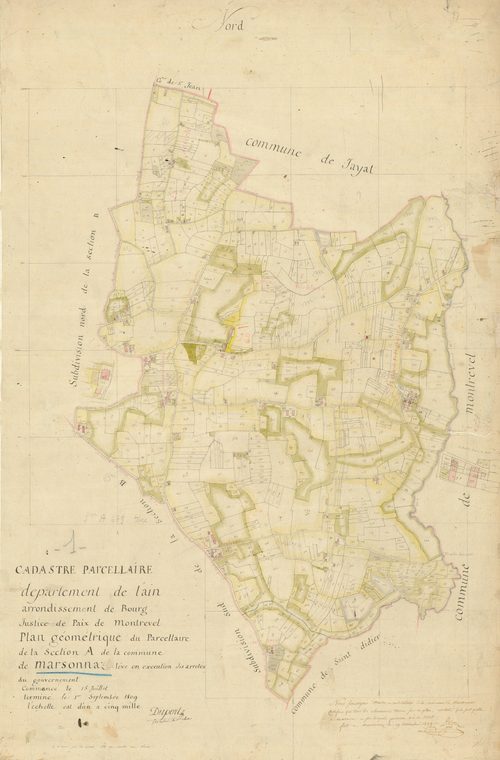 Marsonnas - 3 P 7295 - 3 P 7295 -  Feuille 1  (1809)