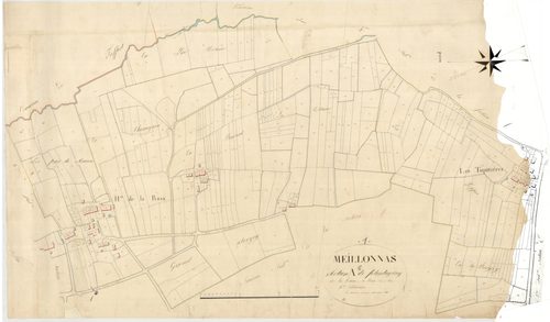 Meillonnas - 3 P 7371 - 3 P 7371 -  Feuille 5  (1825)