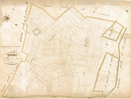Miribel - 1777 W 288-11 - 1777 W 288-11 -  Feuille 10  (1834)