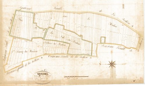 Miribel - 1777 W 288-9 - 1777 W 288-9 -  Feuille 8  (1834)
