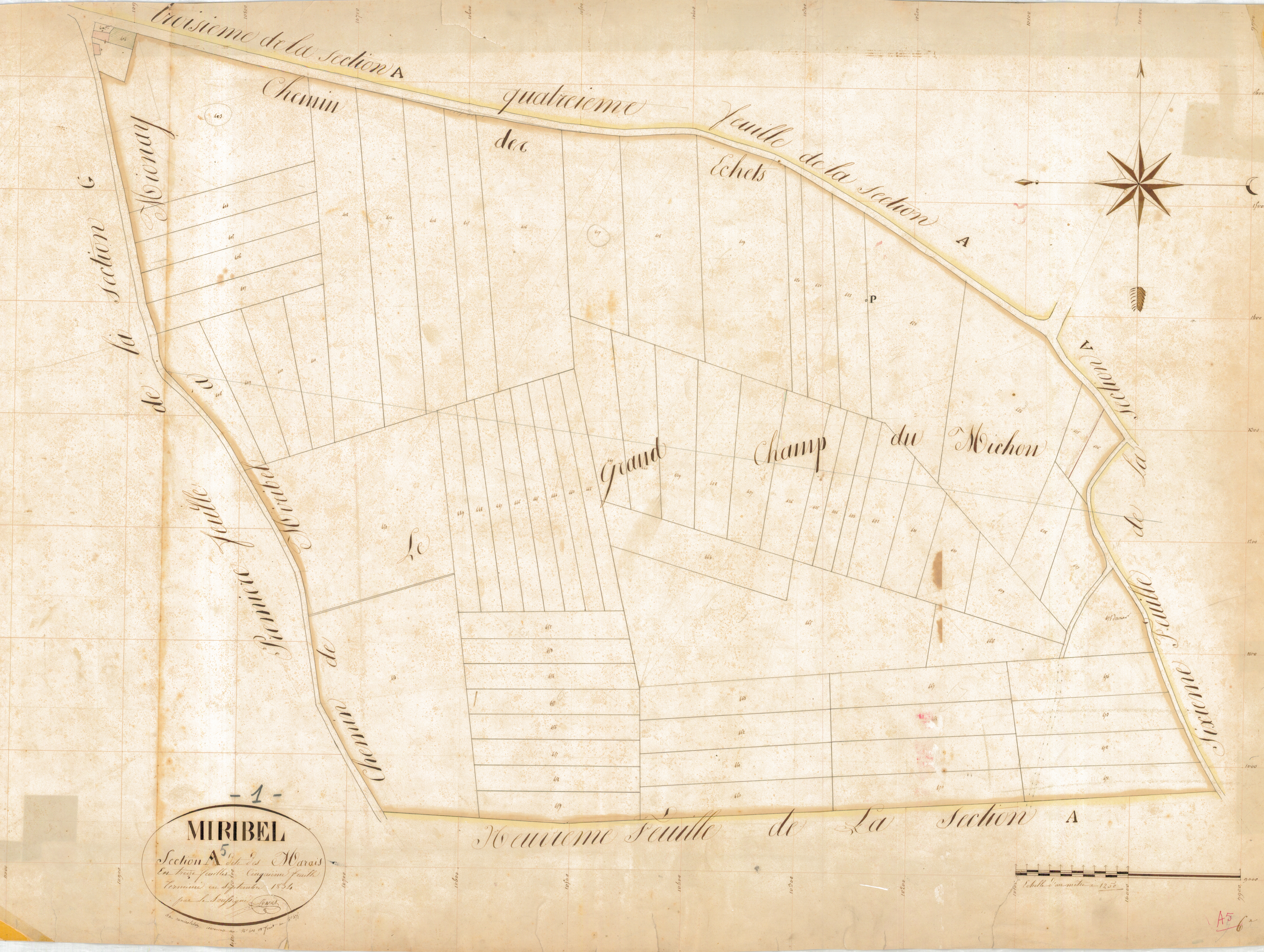 Miribel - 1777 W 288-6 - 1777 W 288-6 -  Feuille 5  (1834)