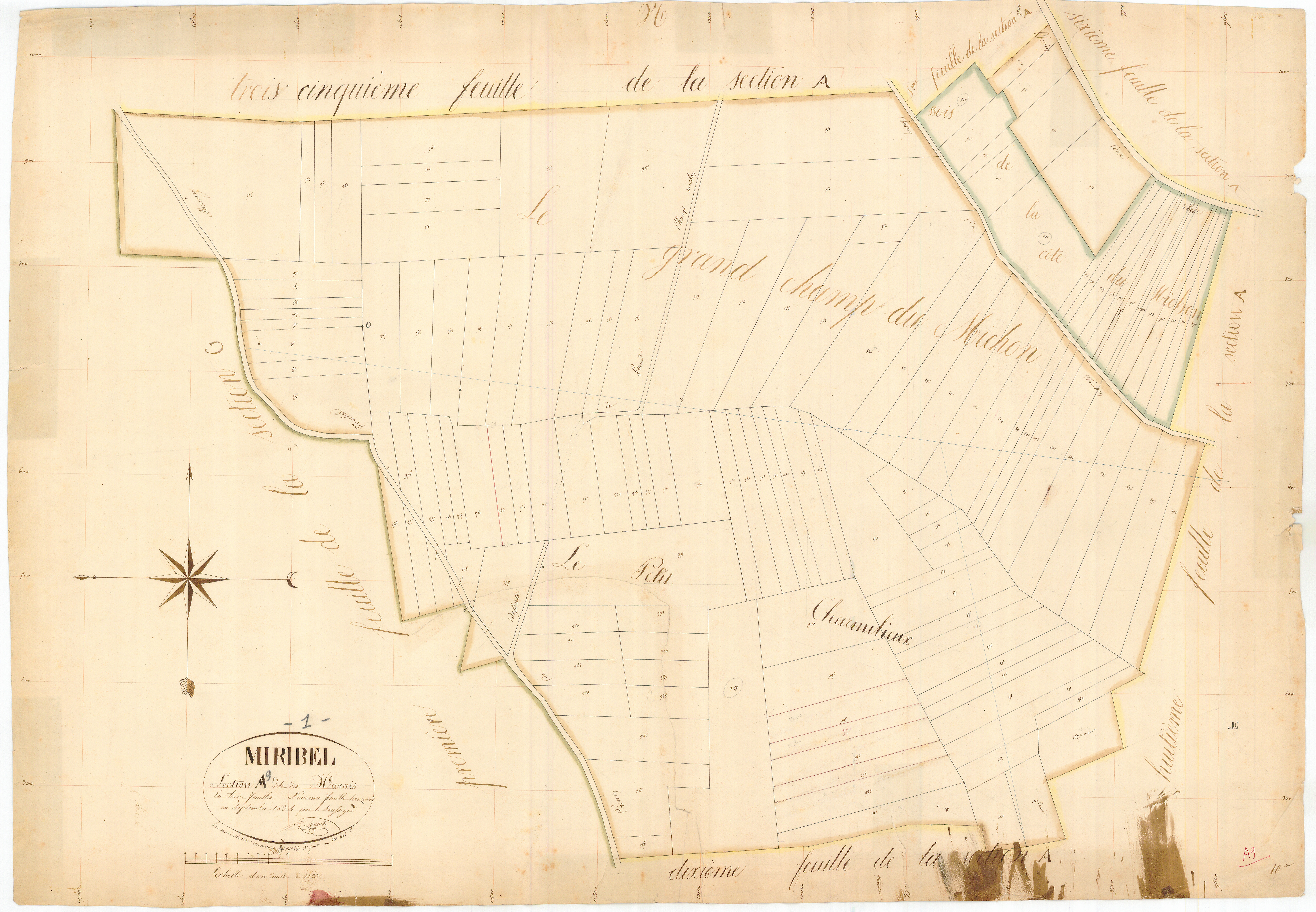 Miribel - 1777 W 288-10 - 1777 W 288-10 -  Feuille 9  (1834)