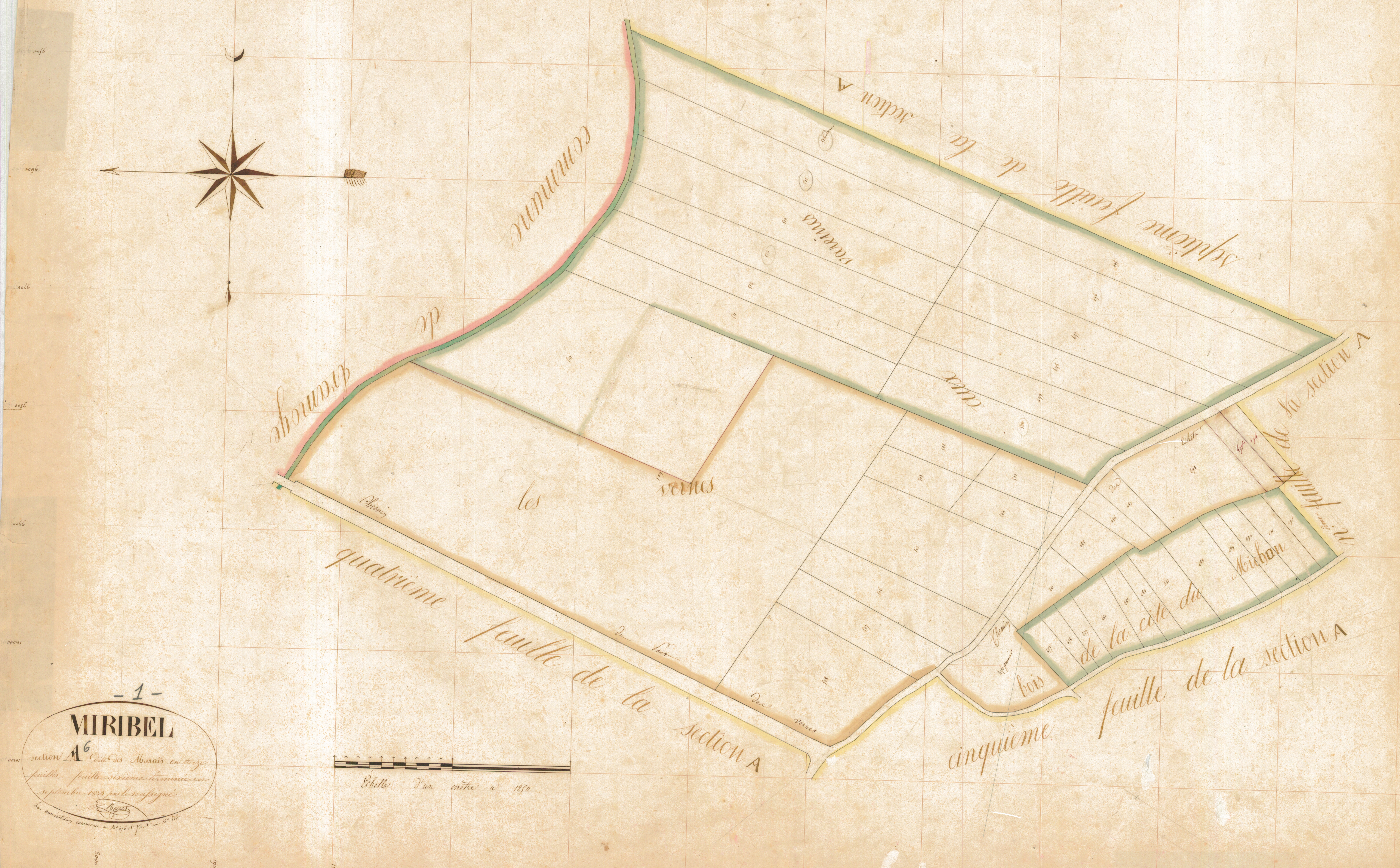 Miribel - 1777 W 288-7 - 1777 W 288-7 -  Feuille 6  (1834)