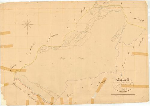 Montanges - 3 P 7523 - 3 P 7523 -  Feuille 5  (1833)