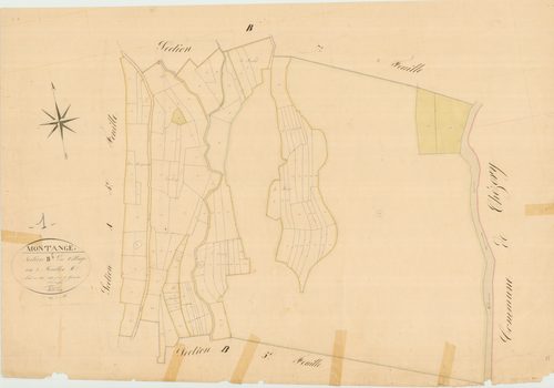 Montanges - 3 P 7529 - 3 P 7529 -  Feuille 6  (1833)