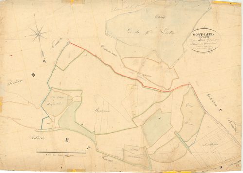 Montluel - 1777 W 303-6 - 1777 W 303-6 -  Feuille 2  (1831)
