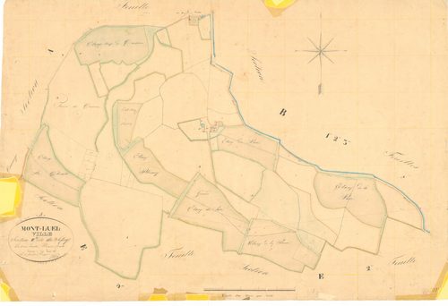 Montluel - 1777 W 303-13 - 1777 W 303-13 -  Feuille 1  (1831)