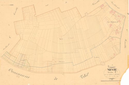 Niévroz - 1777 W 320-14 - 1777 W 320-14 -  Feuille 1  (1834)