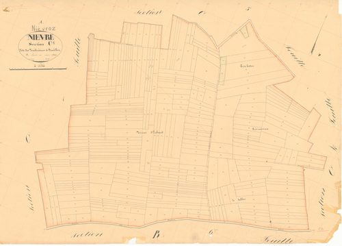 Niévroz - 1777 W 320-15 - 1777 W 320-15 -  Feuille 2  (1834)