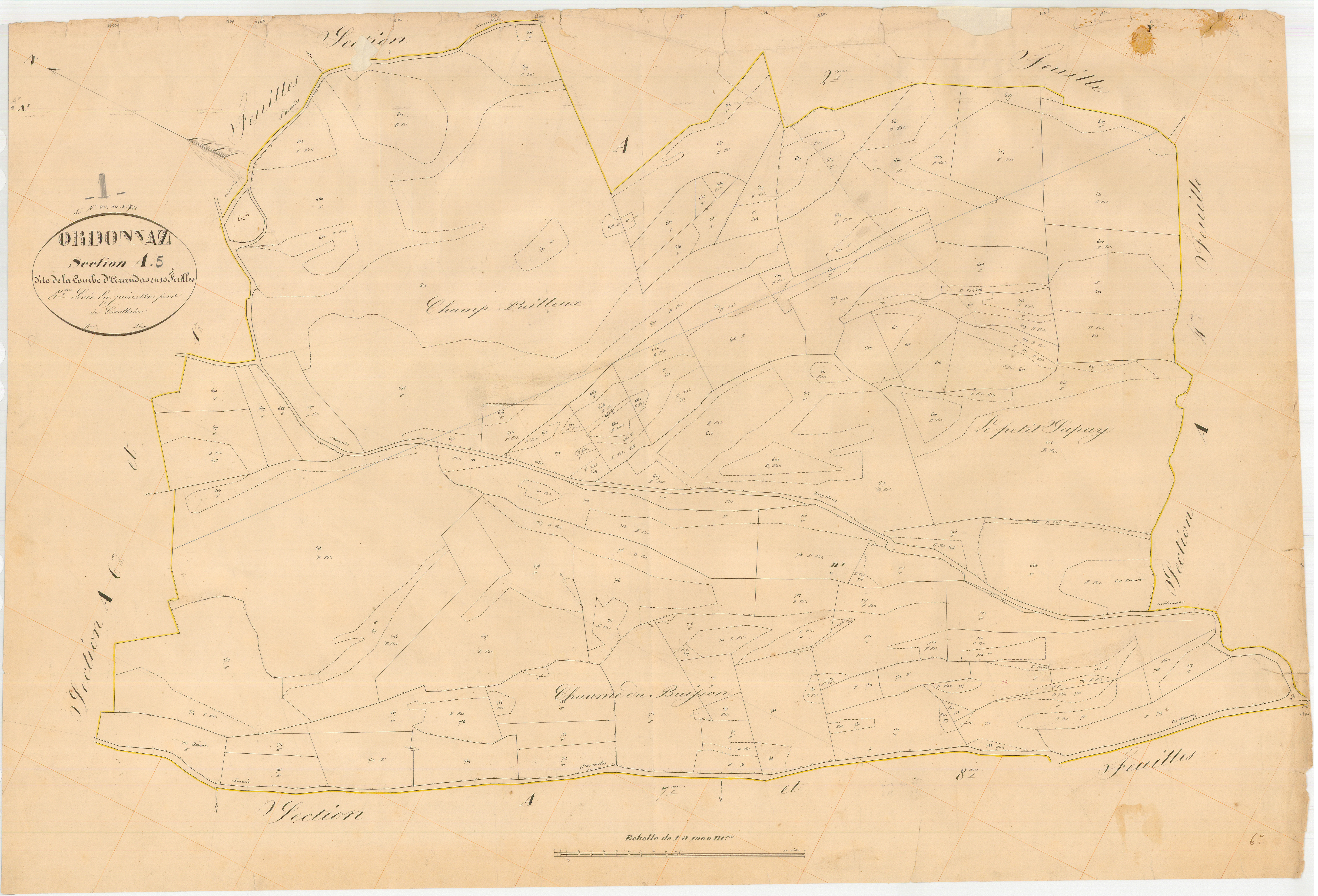Ordonnaz - 3 P 7690 - 3 P 7690 - Feuille 5 (1840)