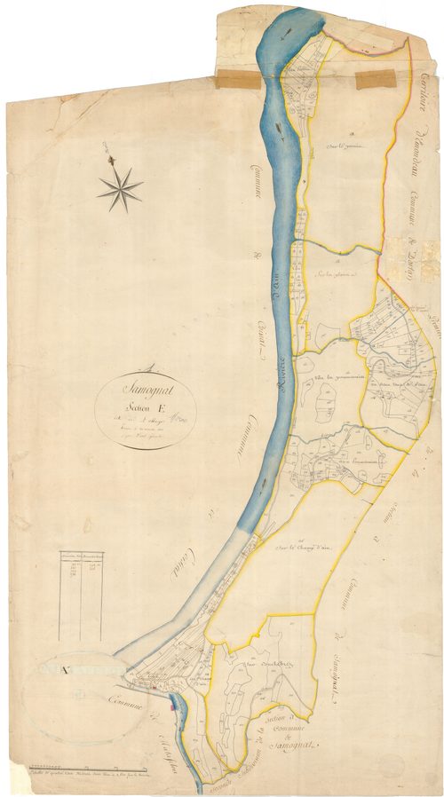 Samognat - 3 P 8894 - 3 P 8894 -  Feuille 1  (1814)