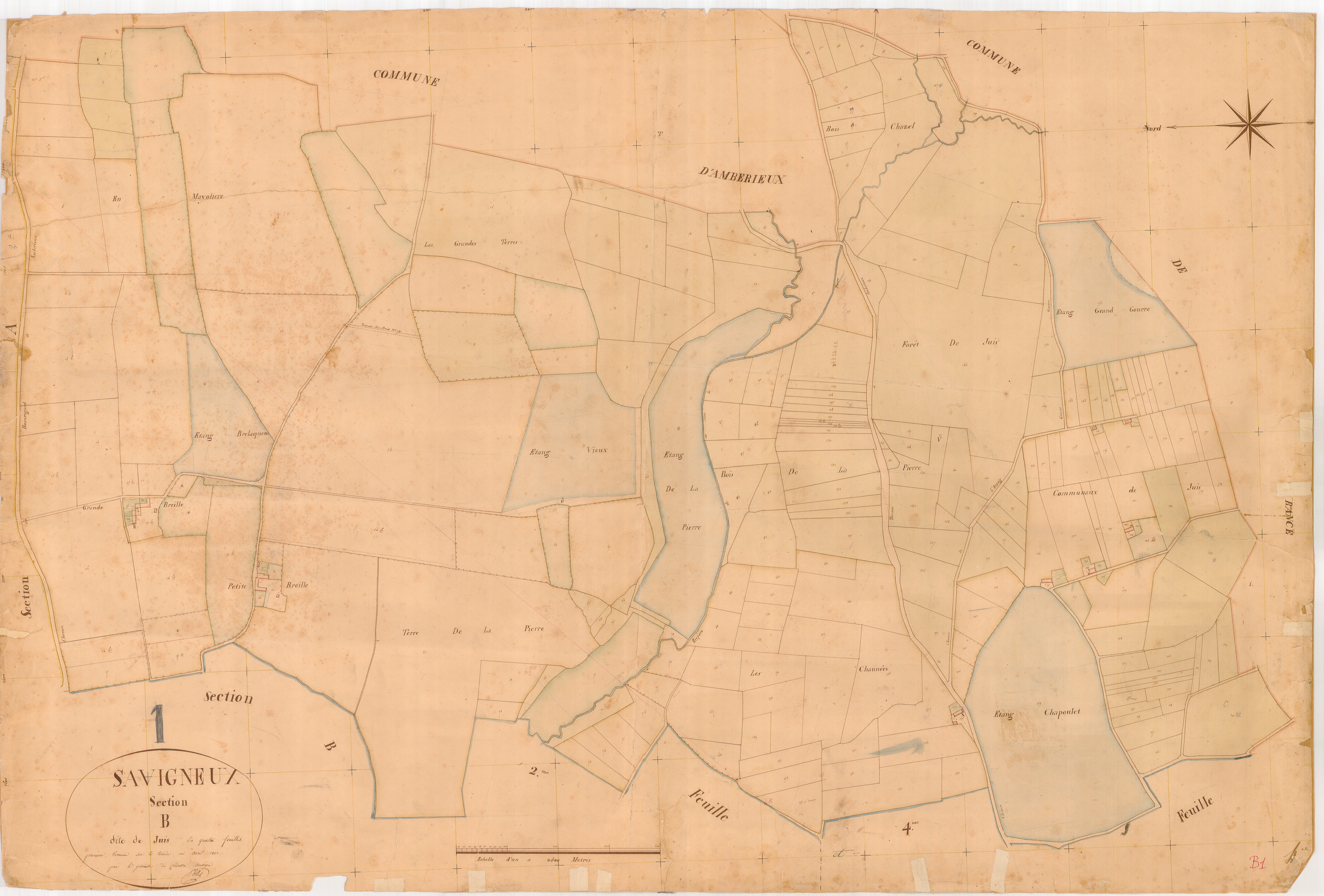 Savigneux - 3 P 8910 - 3 P 8910 -  Feuille 1  (1832)