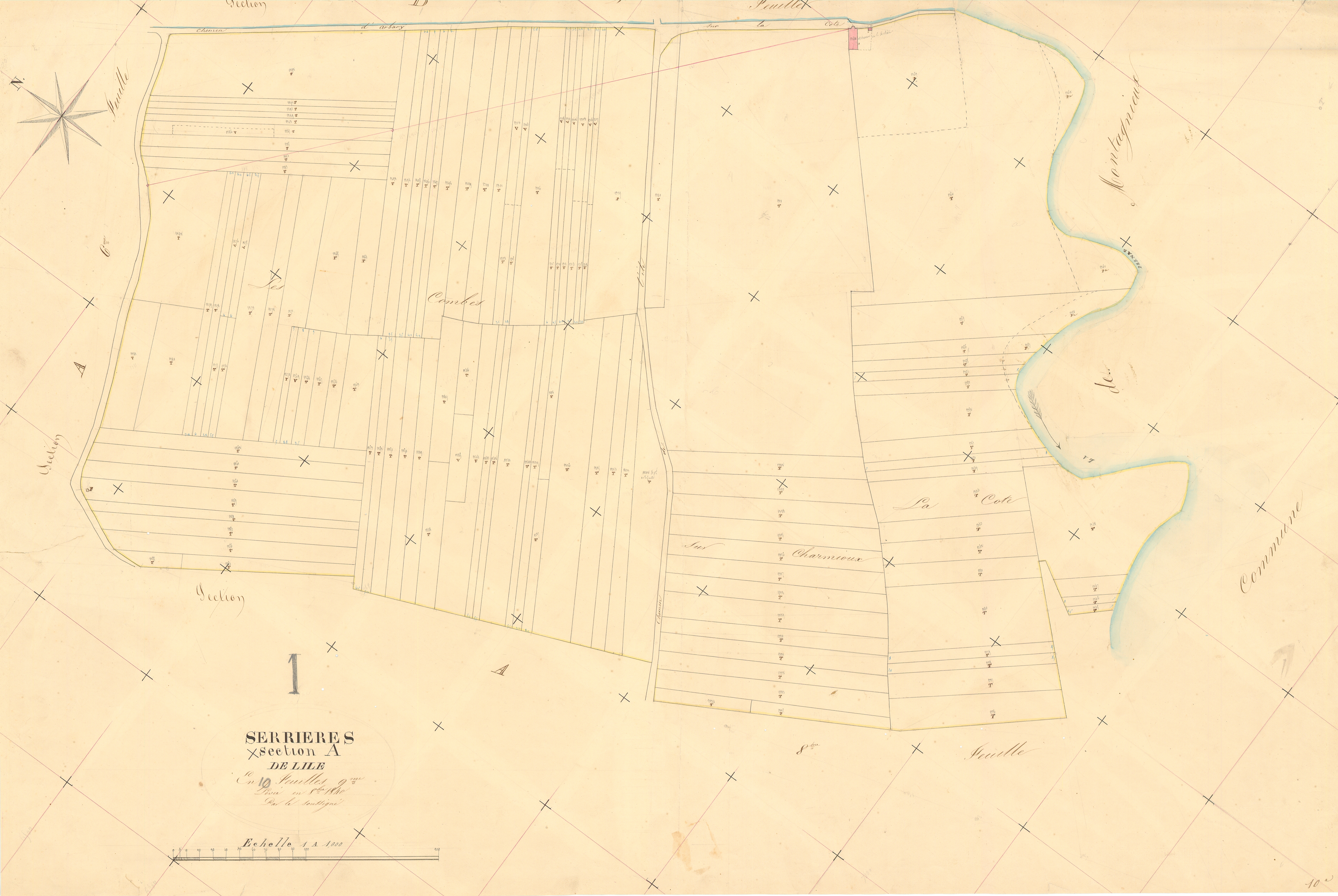 Serrières-de-Briord - 3 P 8974 - 3 P 8974 -  Feuille 9  (1840)