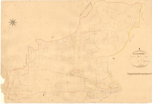Talissieu - 3 P 9100 - 3 P 9100 -  Feuille 1  (1831)
