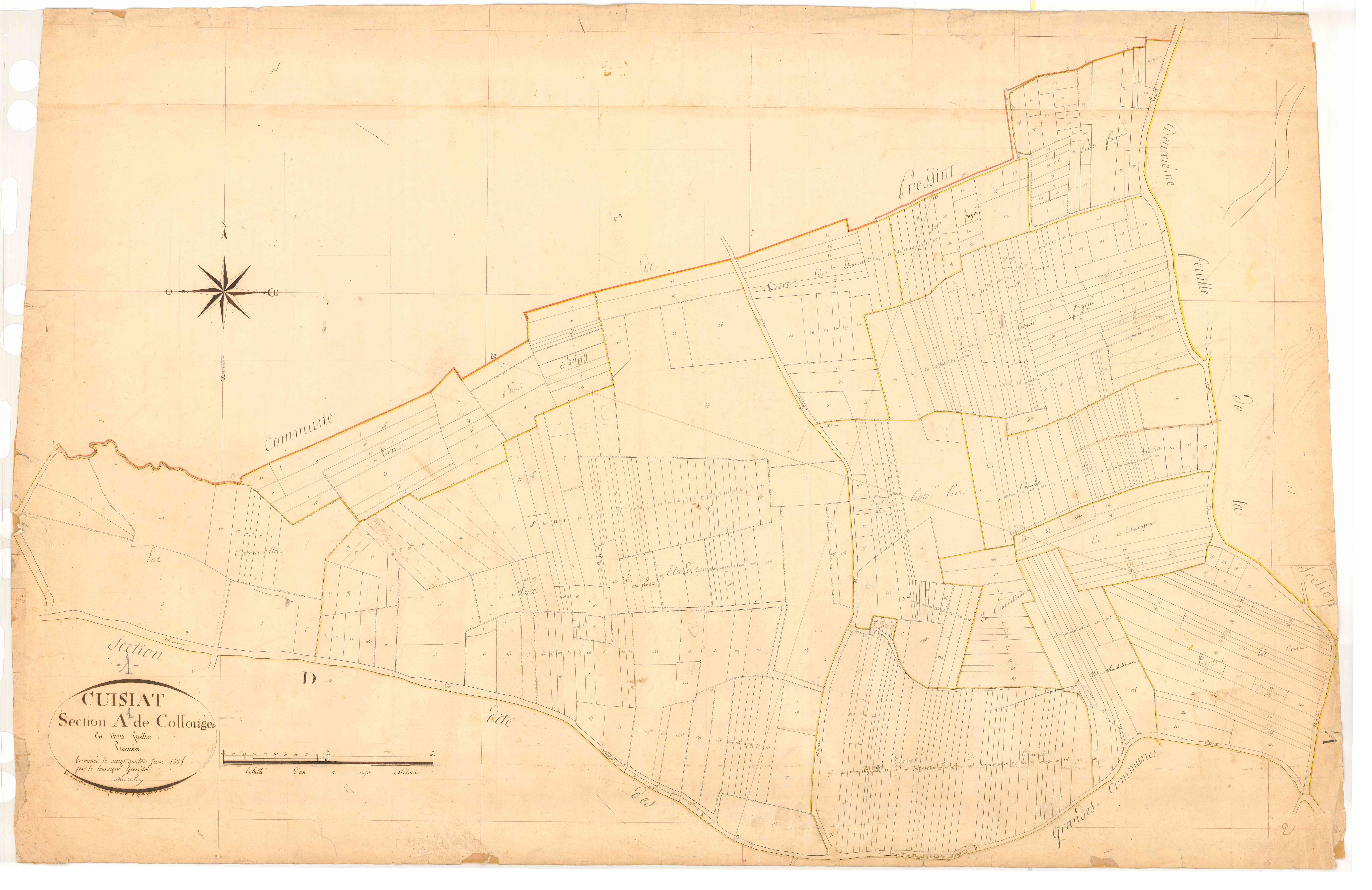 Cuisiat - 3 P 5709 - 3 P 5709 -  Feuille 1  (1825)
