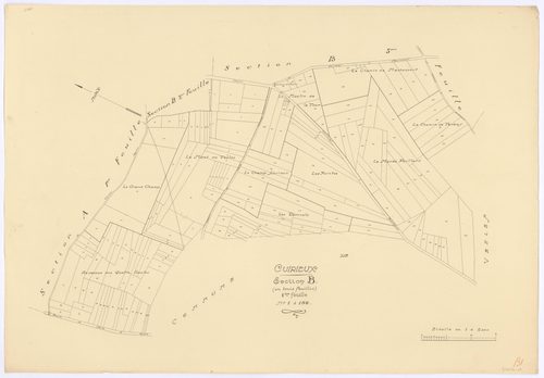 Cuirieux
