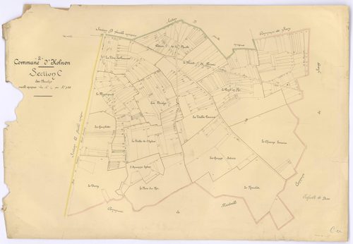 Holnon