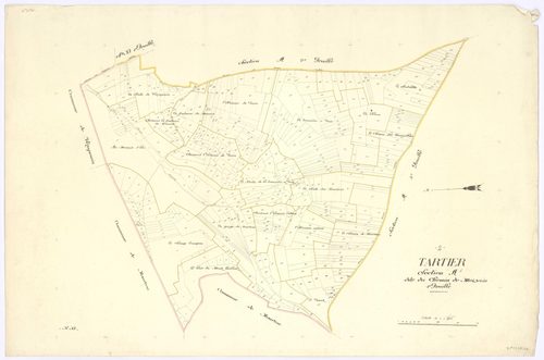 Tartiers