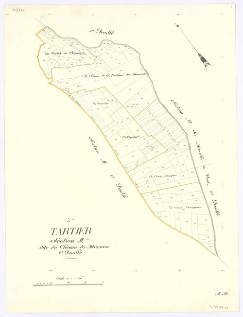 Tartiers