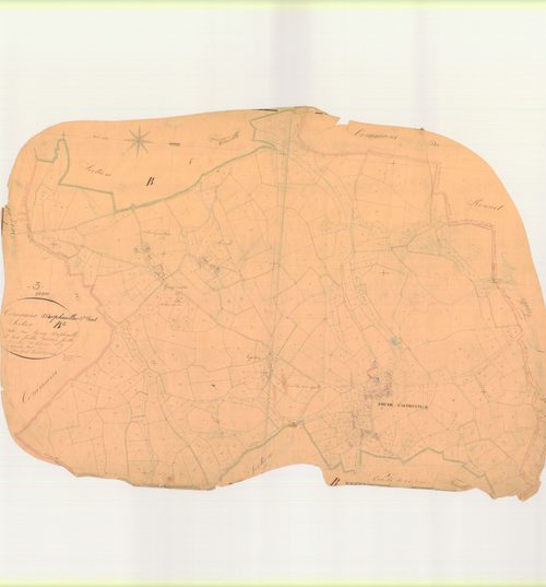 3 P 3007