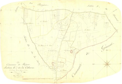 3 P 3021