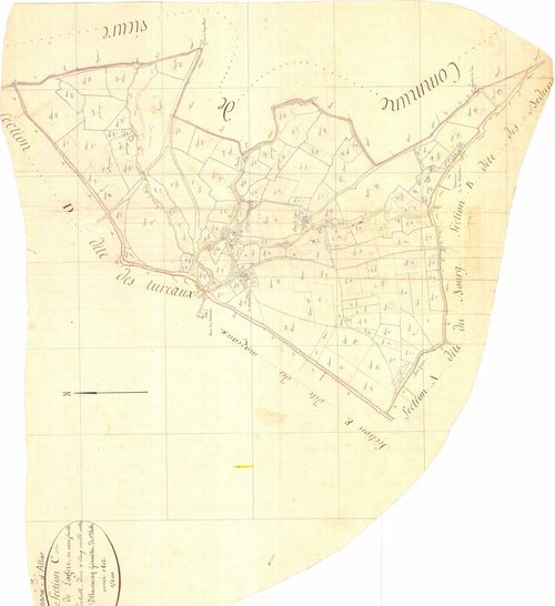 3 P 3076